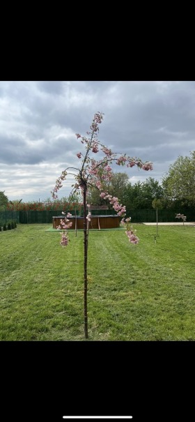 ������� ���� | Imot.bg � ����� ������ 10