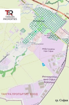 Complotto Bogurishte, regione Sofia