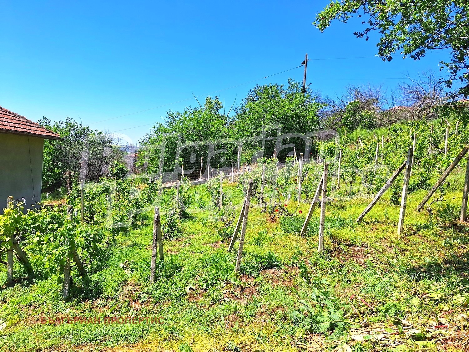 Продава КЪЩА, с. Ореш, област Велико Търново, снимка 16 - Къщи - 54597856