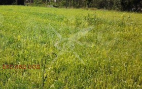 Продава парцел област Пловдив с. Виница - [1] 