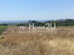 ����� ������� ������,��. ��������, ������ �����