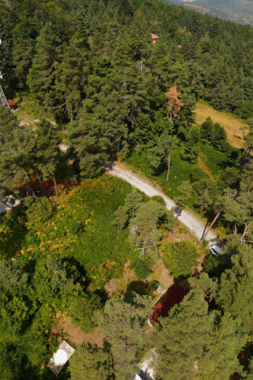 ����� ������� ������,���� �������, ������ �������