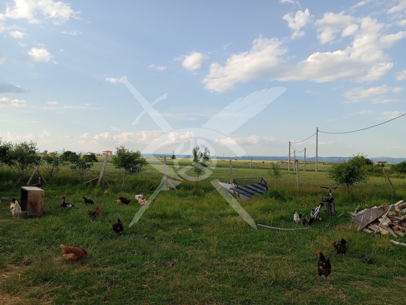Te koop  Verhaallijn regio Sofia , Cherakovo , 1335 m² | 57242816 - afbeelding [3]