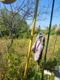 Продава ВИЛА, гр. Русе, Долапите, снимка 8