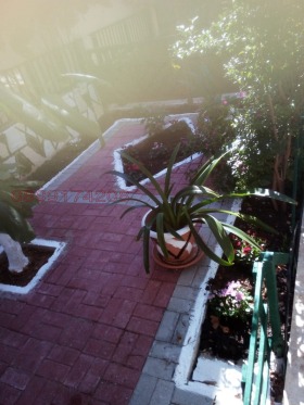   | Imot.bg    5