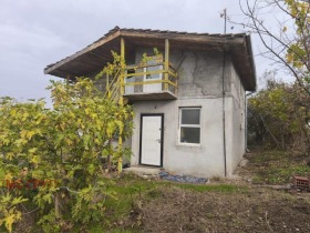 ����� ������� ����,�. �������, ������ �����������