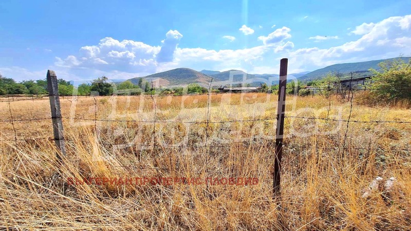 Продава ПАРЦЕЛ, област Пазарджик, с. Козарско • 128000 € / 250346.24 лв. • 68277243 1