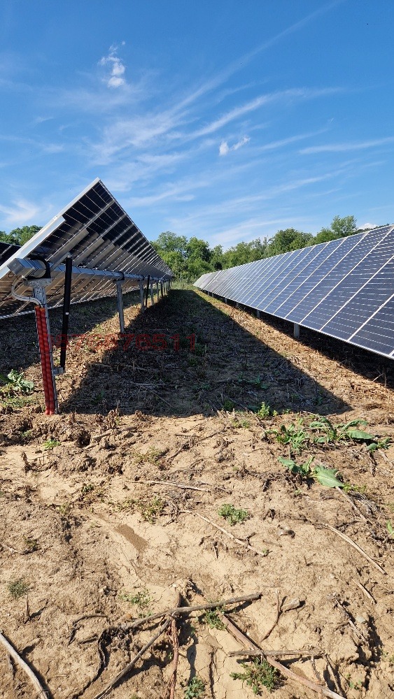 Продава БИЗНЕС ИМОТ, с. Иново, област Видин, снимка 5 - Други - 52779686