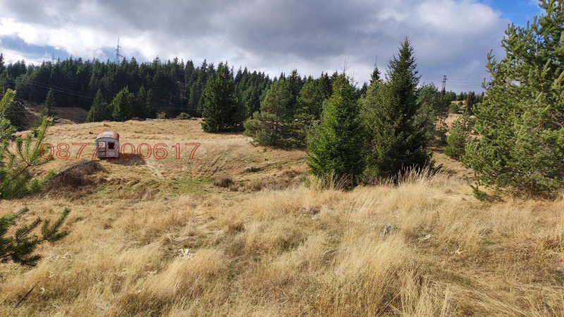 Продава ПАРЦЕЛ, с. Момчиловци, област Смолян, снимка 5 - Парцели - 52853984