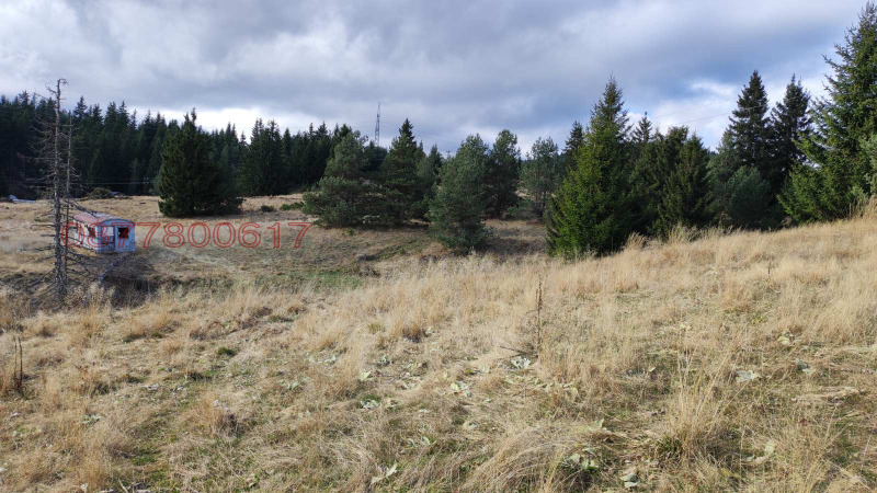 Продава ПАРЦЕЛ, с. Момчиловци, област Смолян, снимка 2 - Парцели - 52853984