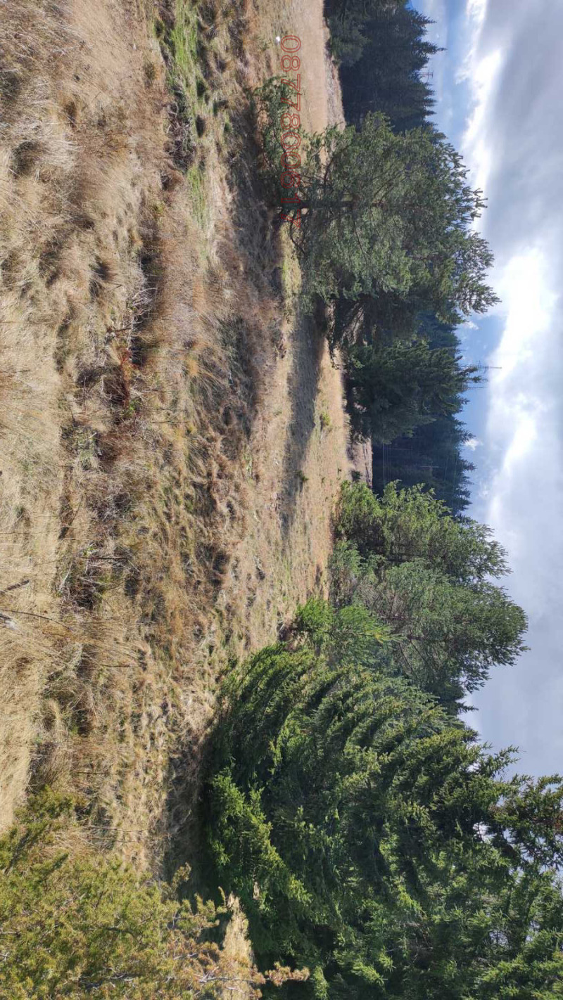 Продава ПАРЦЕЛ, с. Момчиловци, област Смолян