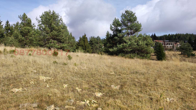 Продава ПАРЦЕЛ, с. Момчиловци, област Смолян, снимка 3 - Парцели - 52853984