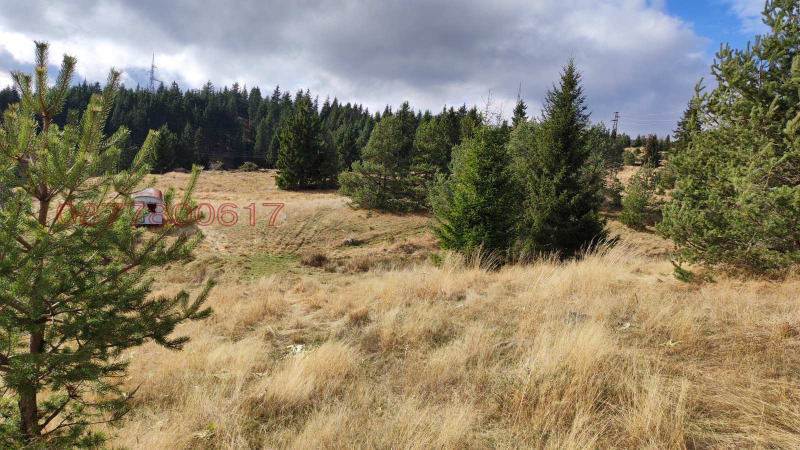 Продава ПАРЦЕЛ, с. Момчиловци, област Смолян, снимка 6 - Парцели - 52853984