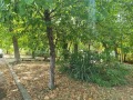 Продава ЕТАЖ ОТ КЪЩА, област Стара Загора, с. Старозагорски бани • 90000 € • 93126421 15