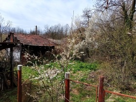 ������� ���� | Imot.bg � ����� ������ 9