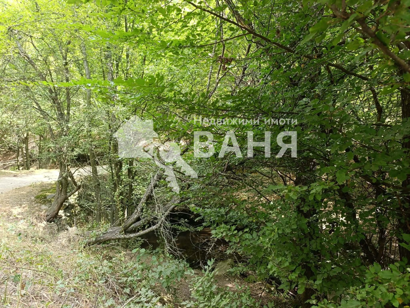 Продава ПАРЦЕЛ, с. Васил Левски, област Пловдив, снимка 4 - Парцели - 55900142