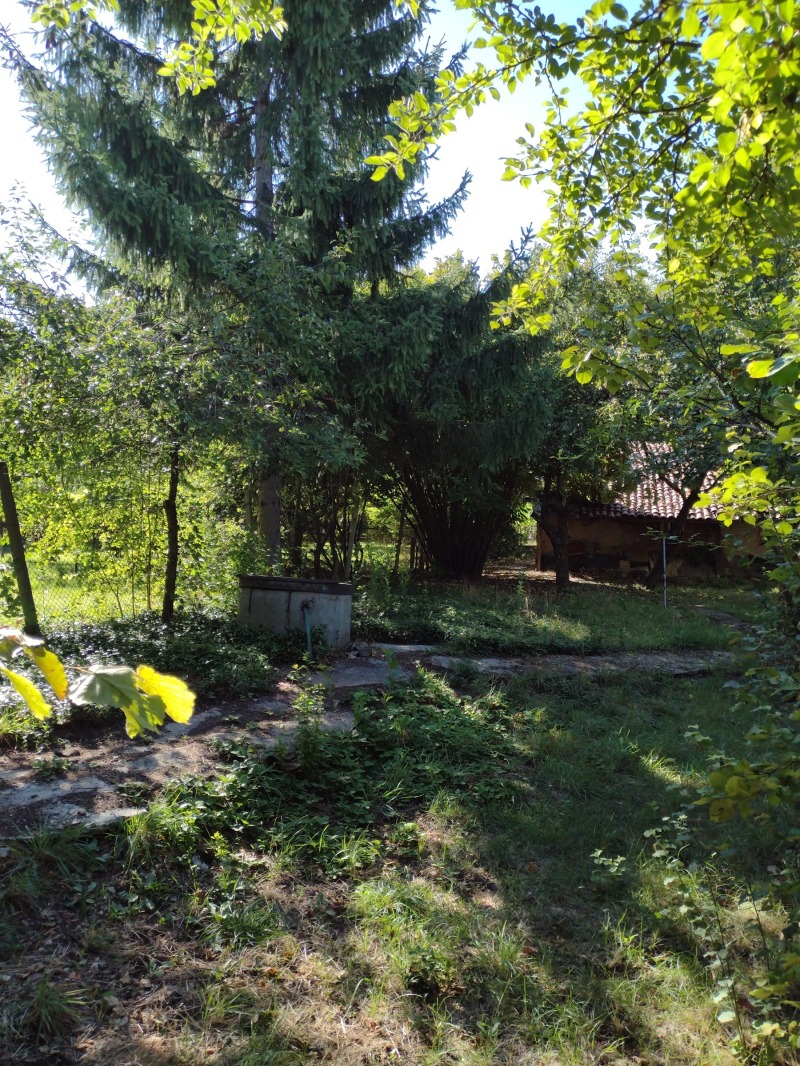 De vânzare  Casa regiunea Pernik , Ciervena mogila , 40 mp | 60668561 - imagine [10]