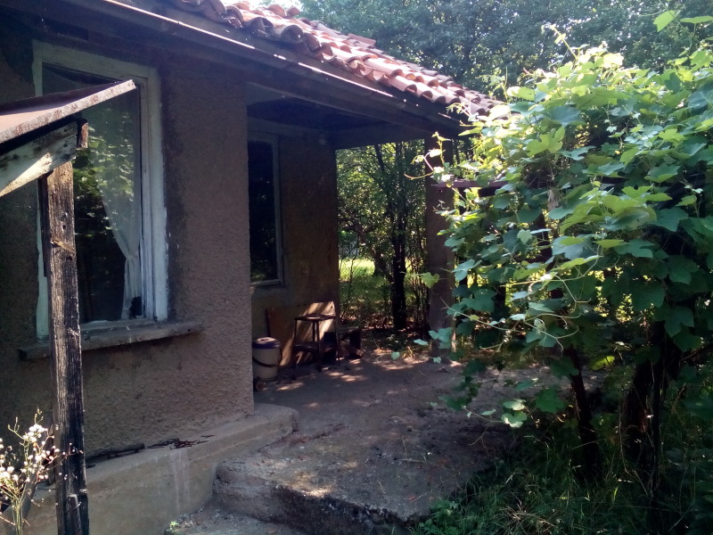 De vânzare  Casa regiunea Pernik , Ciervena mogila , 40 mp | 60668561 - imagine [4]