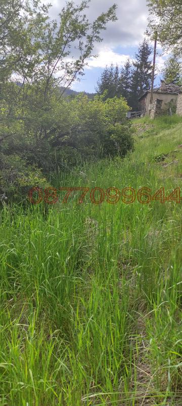 Продава ПАРЦЕЛ, с. Лилково, област Пловдив, снимка 3 - Парцели - 52753099