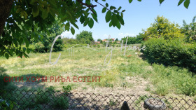Плот Скутаре, регион Пловдив