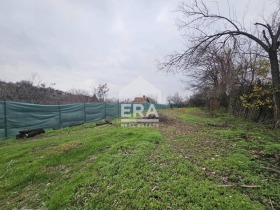 ����� ������� ������,���� ����, ��������