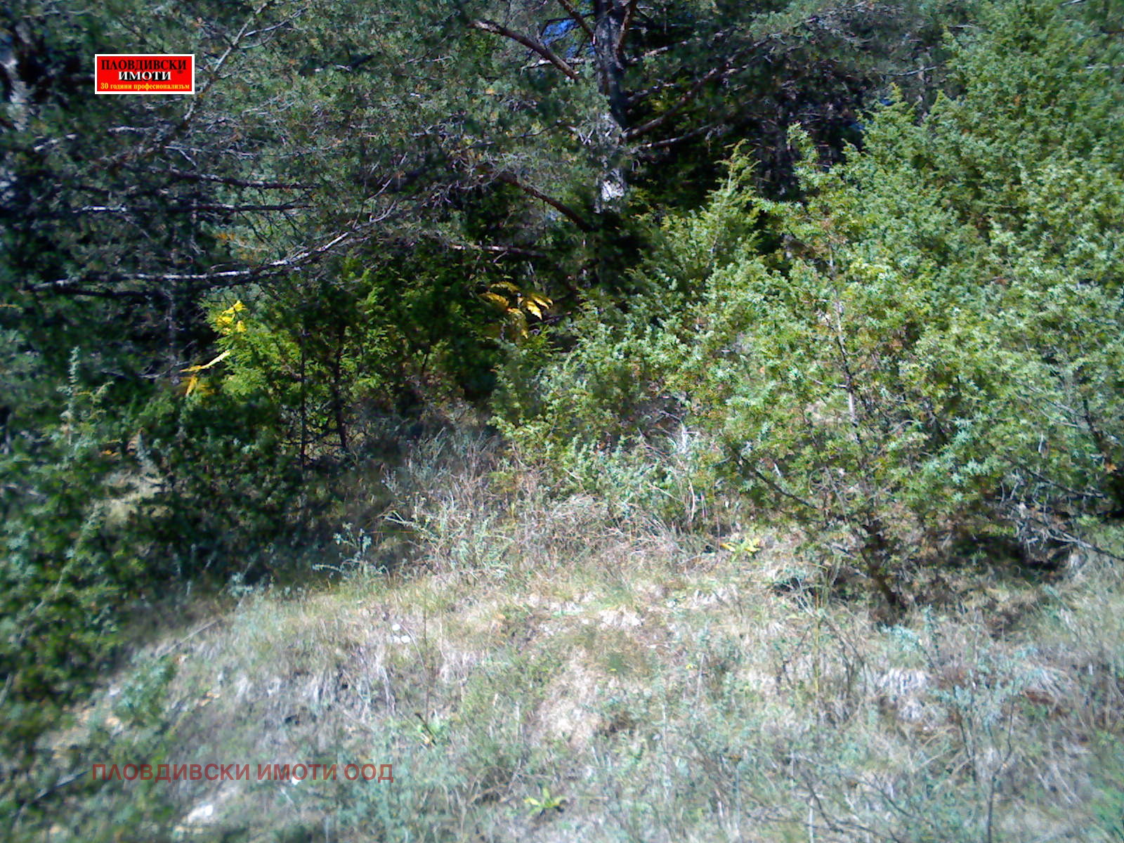 ������� ������ | Imot.bg � ����������� 3