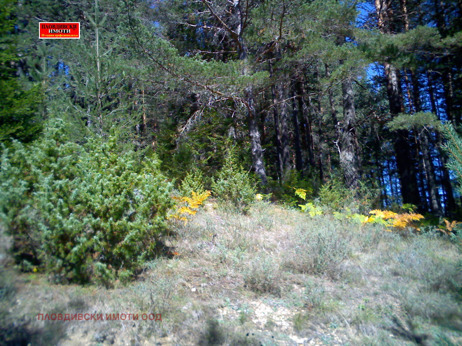 ������� ������ | Imot.bg � ����������� 1