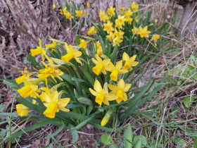 ������� ����� | Imot.bg � ����� ������ 17