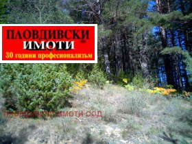Продажба на имоти в гр. Чепеларе, област Смолян - изображение 3 
