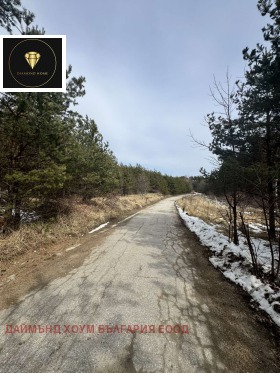 ����� ������� ������,���� �������, ������ �������