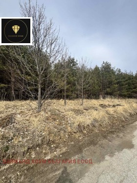 ����� ������� ������,���� �������, ������ �������