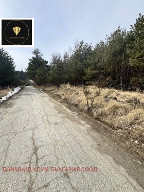 ����� ������� ������,���� �������, ������ �������>