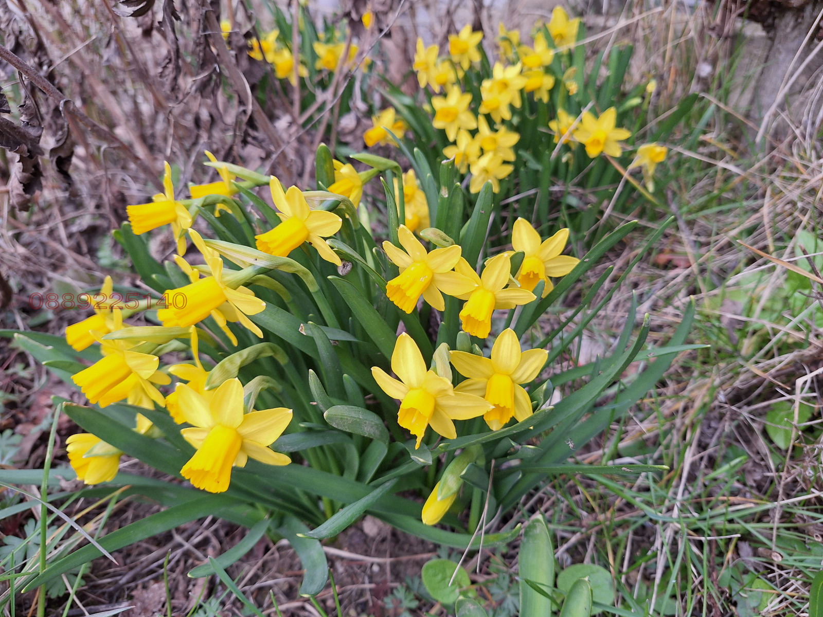 Продава ХОТЕЛ, с. Черни връх, област Шумен, снимка 17 - Хотели - 53729785