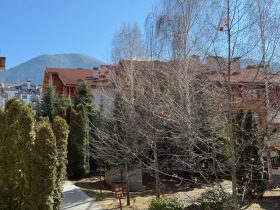 Studio Bansko, region Blagoevgrad 8