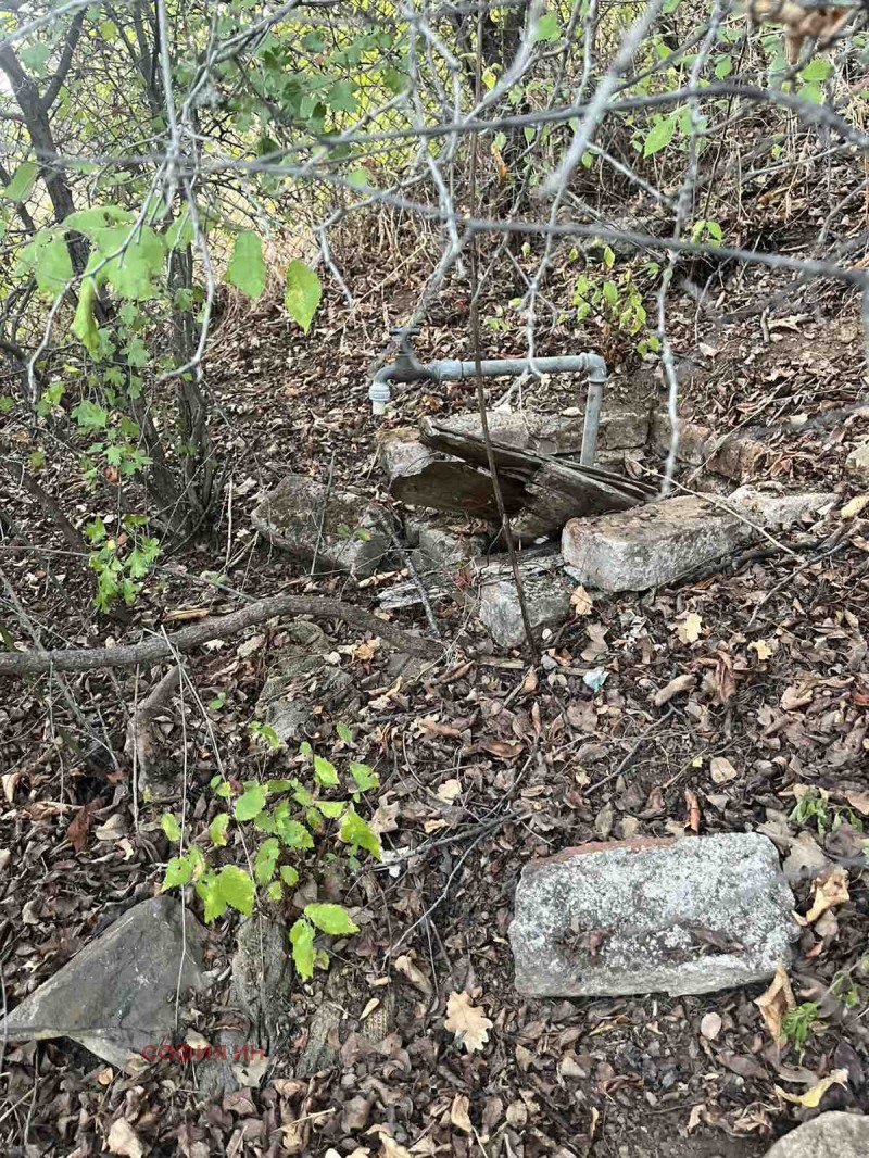 Zu verkaufen  Handlung region Kjustendil , Gorna Kozniza , 530 qm | 62077055 - Bild [4]