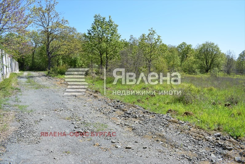 Продава ПАРЦЕЛ, с. Велика, област Бургас, снимка 4 - Парцели - 54372184