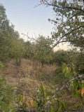 Продава ПАРЦЕЛ, област Кюстендил, с. Горна Козница • 6200 € • 26617970 — Holmes.bg