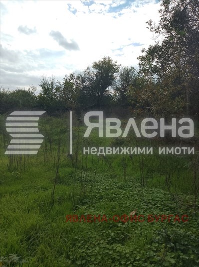 ������� ���� | Imot.bg � ����������� 12