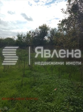 ������� ���� | Imot.bg � ����� ������ 12