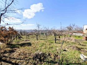 ������� ������ | Imot.bg � ����� ������ 5