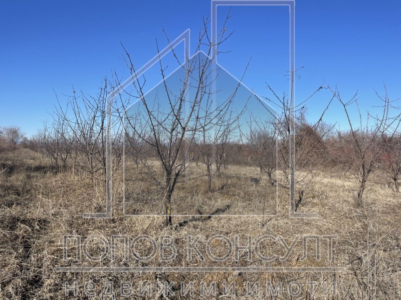 À vendre  Parcelle région Plovdiv , Brestnik , 6752 m² | 77764040 - image [3]