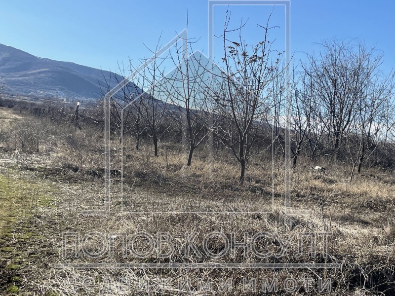 À vendre  Parcelle région Plovdiv , Brestnik , 6752 m² | 77764040 - image [2]