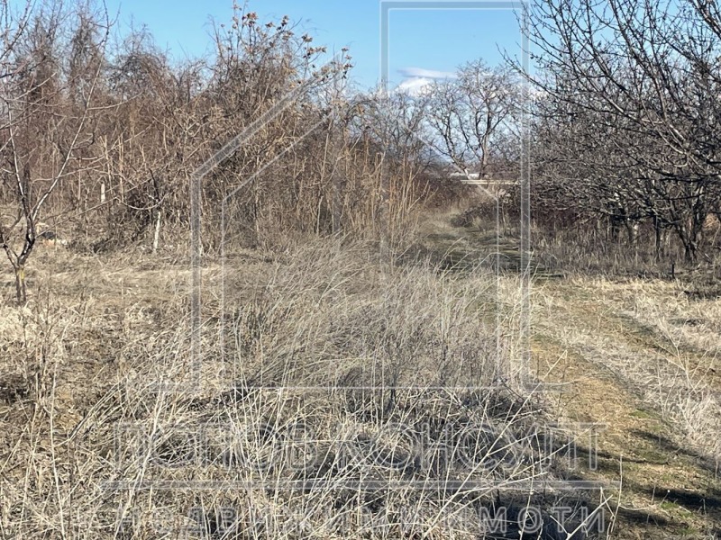 À vendre  Parcelle région Plovdiv , Brestnik , 6752 m² | 77764040