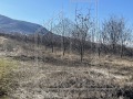 Продава ПАРЦЕЛ, област Пловдив, с. Брестник • 303840 € / 594259.39 лв. • 41269408 2