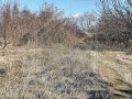 Продава ПАРЦЕЛ, област Пловдив, с. Брестник • 303840 € / 594259.39 лв. • 41269408 1