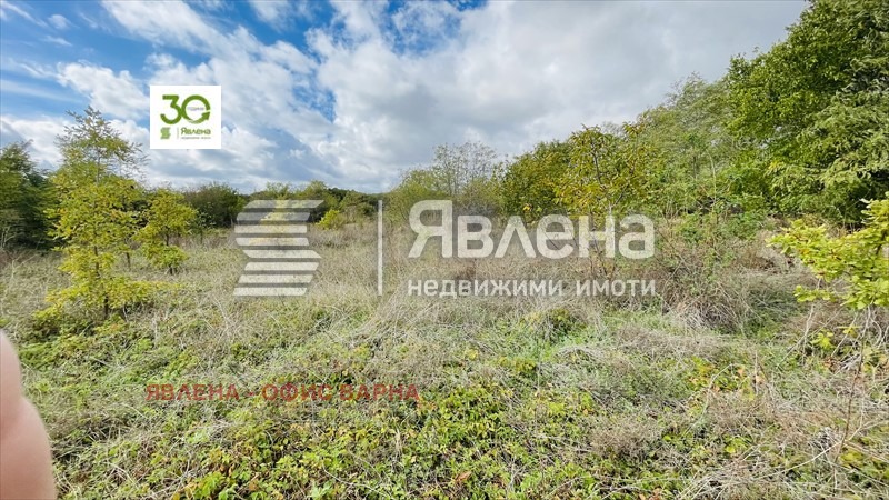 Продава ПАРЦЕЛ, с. Камен бряг, област Добрич, снимка 5 - Парцели - 47527302