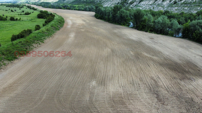 Продава ЗЕМЕДЕЛСКА ЗЕМЯ, с. Долна Студена, област Русе, снимка 3 - Земеделска земя - 52815041