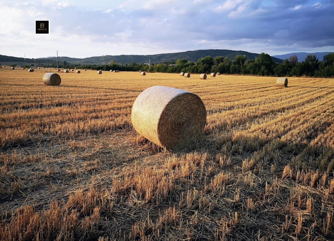 Продава ЗЕМЕДЕЛСКА ЗЕМЯ, с. Иван Вазово, област Пловдив