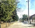Продава КЪЩА, област Добрич, с. Коларци • 46000 € • 60029544 — Holmes.bg