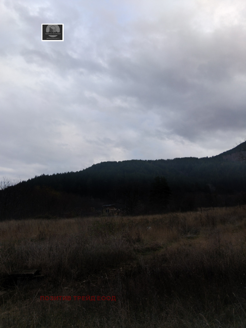 Продава ПАРЦЕЛ, гр. Сапарева баня, област Кюстендил, снимка 2 - Парцели - 52640226